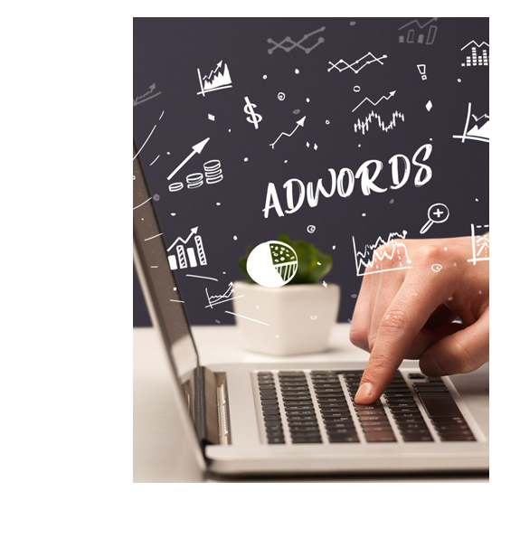 Pianificazione di Digital Strategy e gestione delle inserzioni pubblicitarie online per ottimizzare il raggiungimento del pubblico target e massimizzare i risultati delle campagne